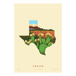 Texas State // Prickly Pear