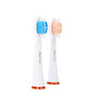 ProClean Brush Heads // Set of 2