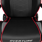 AKRacing Overture Gaming Chair (Black + White)