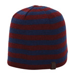 Striped Knit Beanie // Italian Plum