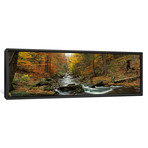 Fall Trees, Kitchen Creek, Pennsylvania (36"W x 12"D x 1.5"D)