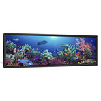 School Of Fish, Indo-Pacific Ocean (36"W x 12"D x 1.5"D)