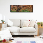 Old Maple Color (36"W x 12"D x 1.5"D)