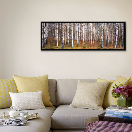 Silver birch trees in a forest, Narke, Sweden (36"W x 12"D x 1.5"D)