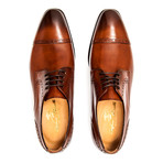 Caravaggio Dress Shoe // Brown (UK: 9)