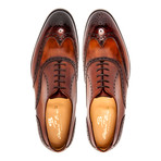Giotto Dress Shoe // Brown (UK: 13)