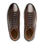 Monet Sneaker // Marrone (UK: 11)