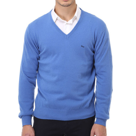 Embroidered V-Neck Sweater // Light Blue (XS)