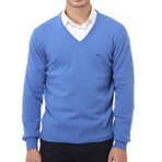 Embroidered V-Neck Sweater // Light Blue (XS)