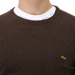 Embroidered Crew Neck Sweater // Terra (XL)