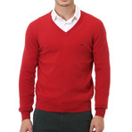 Embroidered V-Neck Sweater // Red (S)