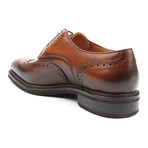Amberes Wing-Tip Derby // Cognac (Euro: 45)