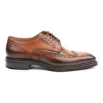 Amberes Wing-Tip Derby // Cognac (Euro: 45)