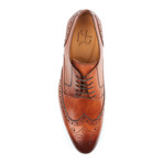Berlina Wing-Tip Derby // Cognac (Euro: 44)
