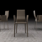 Lucca Dining Chair (Reclaimed Dove Gray)
