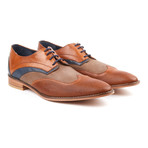 Wingtip Oxford Dress Shoe // Tan + Navy (US: 6)