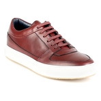 Reggio Low-Top Sneaker // Bordeaux (Euro: 43)