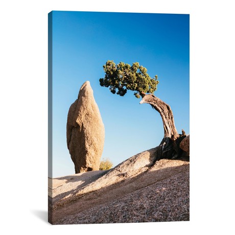 Balance Rock And A Lone Juniper, Joshua Tree National Park, California (18"W x 26"H x 0.75"D)