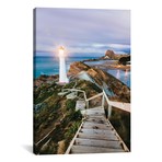 Castle Point Lighthouse At Dawn, Castlepoint, Wellington, New Zealand (18"W x 26"H x 0.75"D)