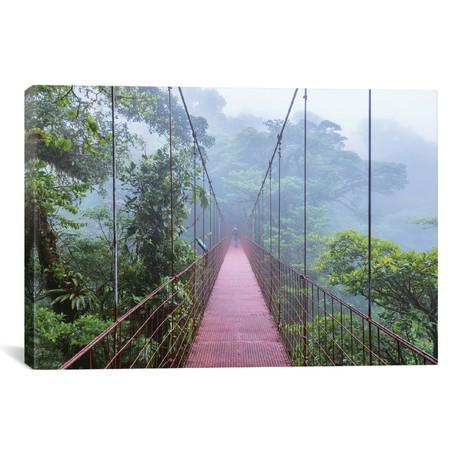 Man On A Suspension Bridge, Monteverde Cloud Forest Reserve, Costa Rica (18"W x 26"H x 0.75"D)