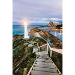 Castle Point Lighthouse At Dawn, Castlepoint, Wellington, New Zealand (18"W x 26"H x 0.75"D)