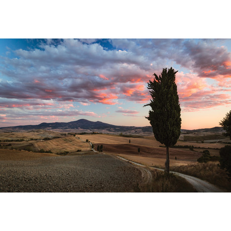 Epic Sunset, Tuscany, Italy (18"W x 26"H x 0.75"D)