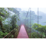 Man On A Suspension Bridge, Monteverde Cloud Forest Reserve, Costa Rica (18"W x 26"H x 0.75"D)