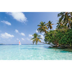 Sail Boat On Tropical Sea, Republic Of Maldives // Matteo Colombo (26"W x 18"H x 1.5"D)