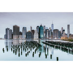 Skyline, Lower Manhattan, New York City (18"W x 26"H x 0.75"D)