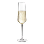 Puccini Champagne Glasses // 280 ML // Set Of 6