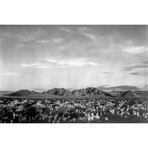 Near Death Valley National Monument by Ansel Adams (12"H x  18"W x  1.5"D)