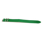 DaLuca NATO Watch Strap // Kelly Green Latigo + Matte Buckle (20mm)