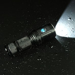 DN11 (Neutral White LED)