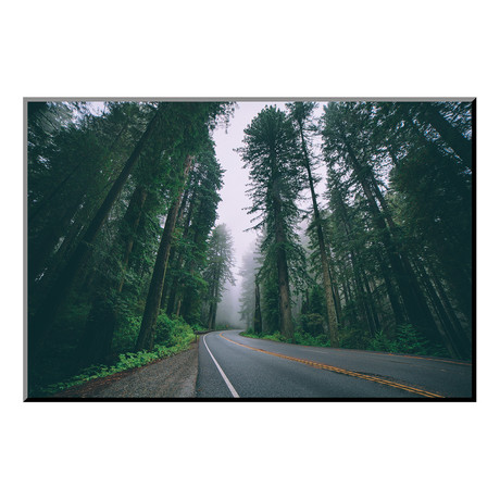 Road through the Redwoods, Del Norte Coast Redwoods, California (24"W x 16"H x 0.4"D)