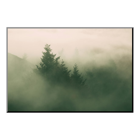 Foggy Green, Trees in Fog at Mount Tam, Bay Area, San Francisco (24"W x 16"H x 0.4"D)