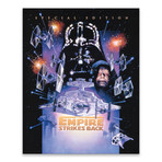 Episode V: The Empire Strikes Back // Special Edition (16"W x 20"H x 1.25"D)