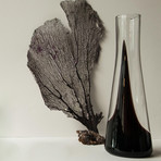 Handblown Glass Carafe // Black