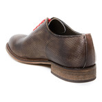 Plain Whole Cut Oxford // Dark Brown (Euro: 40)