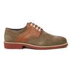 Plain Derby // Taupe + Brown (Euro: 42)