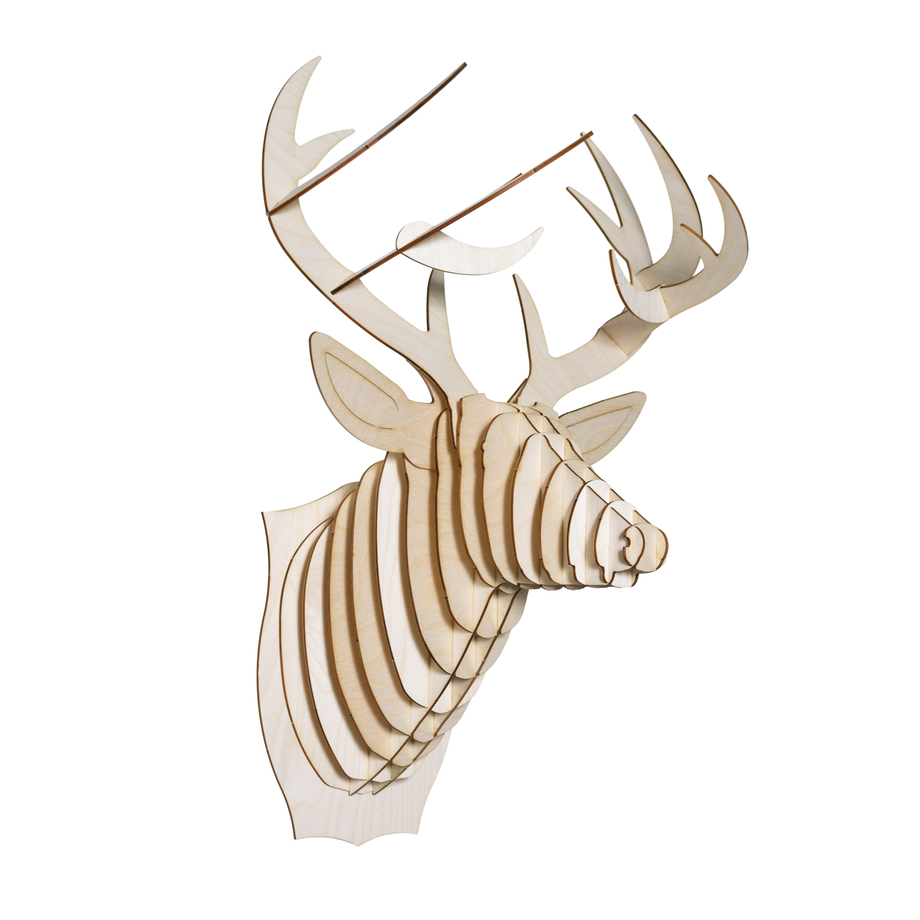 Antler Home Birch Wood Animal Taxidermy Touch of Modern