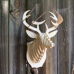 Bucky // Birch Wood Deer Head (Medium)