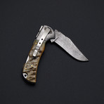 5010 Ram's Horn // Single Blade Pocket Knife