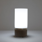 Bottled Sunshine // Walnut