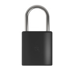 LockSmart Mini (Black)