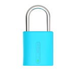 LockSmart Mini (Black)