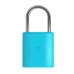 LockSmart Mini (Black)