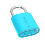 LockSmart Mini (Black)