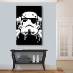 Pirate Trooper (18"W x 26"H x 1.25"D)