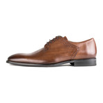 Raider Grain Oxford // Brown (Euro: 41)