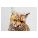 Fox Cub (26"W x 18"H x 0.75"D)